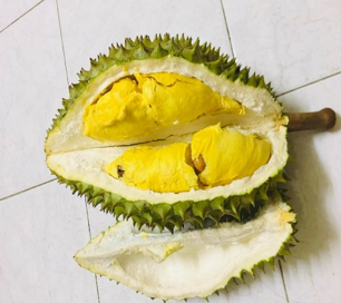 giống sầu riêng ri 6 vỏ dày